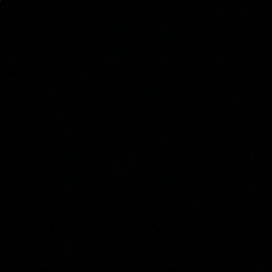 Meet your Posher, Phillip